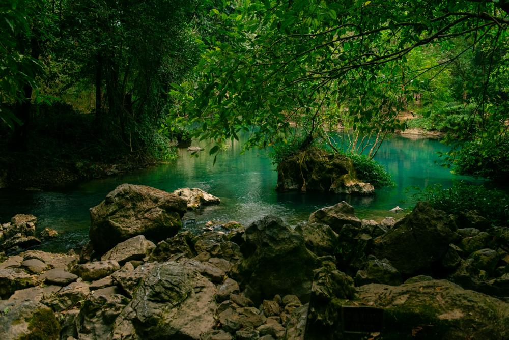 Pilica River