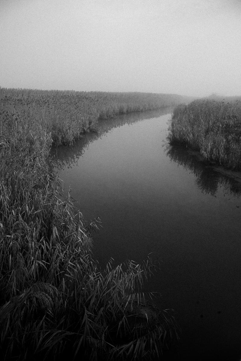 Warta River