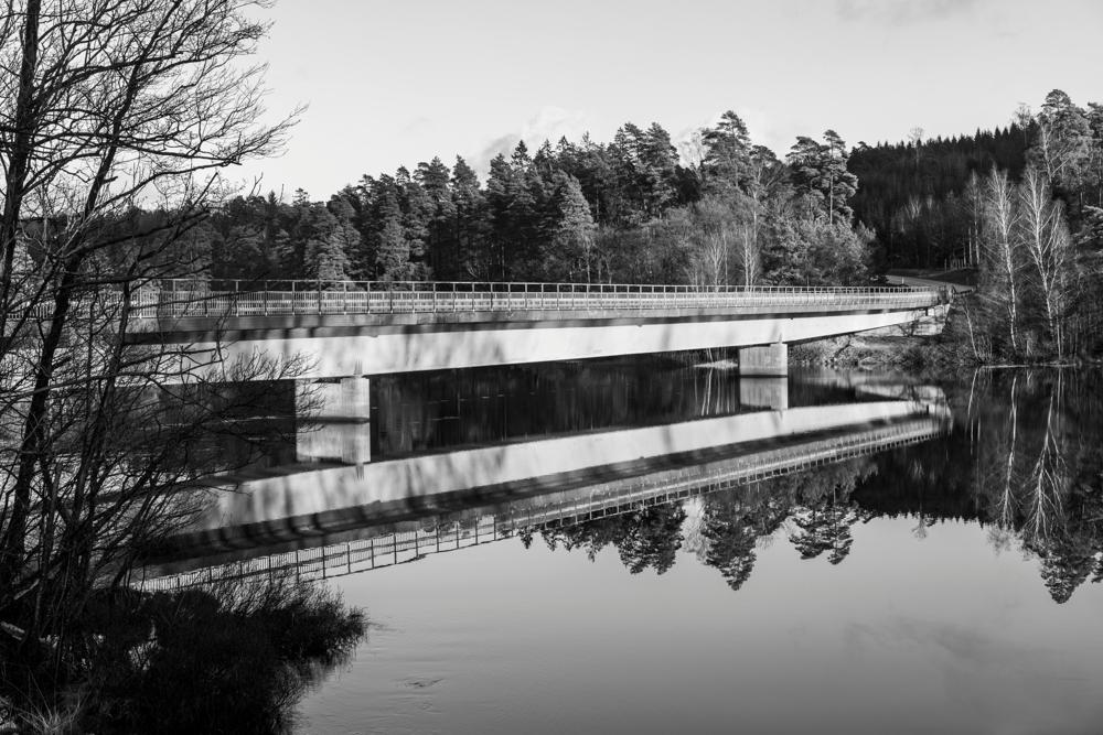 Warta River